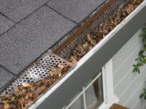 gutter with leaves and broken gutter guard
